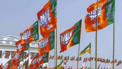 bjp flag 4 BJP की कमेटी ने किया राजगढ़ का दौरा, गहलोत सरकार से न्यायिक जांच की मांग