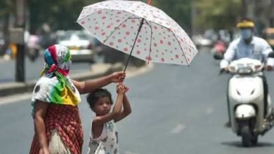 1079803 up weather today भीषण गर्मी का दौर जारी, बाड़मेर में अधिकतम तापमान 46.3 डिग्री सेल्सियस