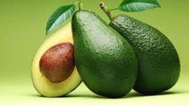 Avocado Fruit: एवोकाडो फल डायबिटीज से लेकर चेहरे और बालों के लिए है फायदेमंद