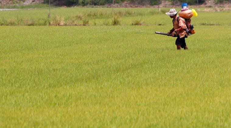 बिहार: अब पंचायत स्तर पर तय होगा खेती का लक्ष्य, इस एप के जरिए ऑनलाइन होगा काम 1 farmer1 बिहार: अब पंचायत स्तर पर तय होगा खेती का लक्ष्य, इस एप के जरिए ऑनलाइन होगा काम