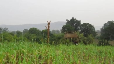 jamin पूर्व सैनिक पर जमीन विवाद में चढ़ाया ट्रैक्टर, महिलाओं ने लाठी-डंडे से पीटा
