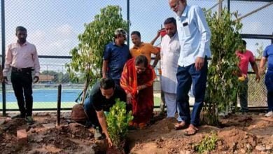 6 jpeg 1 उदय रंजन क्लब टेनिस ग्राउंड के किया पौधारोपण