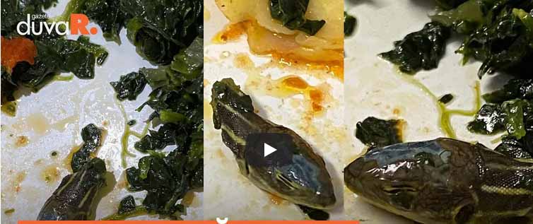 Viral News: आलू की सब्जी खा रहा था शख्स, दिखा कुछ अजीब-सा, देखा तो निकला सांप का सिर... 1 Viral News: आलू की सब्जी खा रहा था शख्स, दिखा कुछ अजीब-सा, देखा तो निकला सांप का सिर...