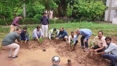 index 3 चंबल संभाग वृक्षारोपण के लक्ष्य को पूर्ण करने की ओर, 10 हजार 41 पौधे रोपना शेष
