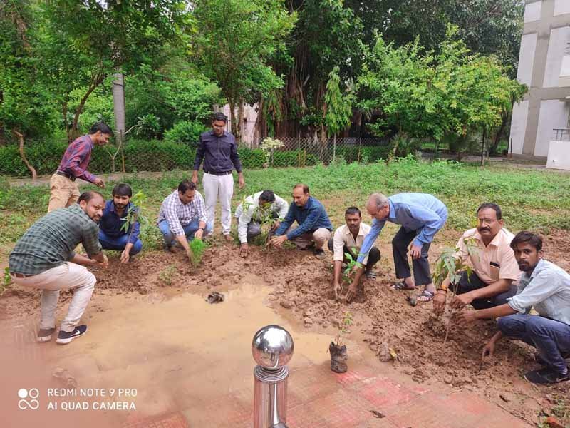 चंबल संभाग वृक्षारोपण के लक्ष्य को पूर्ण करने की ओर, 10 हजार 41 पौधे रोपना शेष 1 index 3 चंबल संभाग वृक्षारोपण के लक्ष्य को पूर्ण करने की ओर, 10 हजार 41 पौधे रोपना शेष