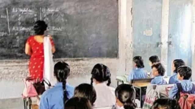 sikshak 1 बरेली में पाकिस्तानी महिला शिक्षक बर्खास्त, बेटी भी निलंबित