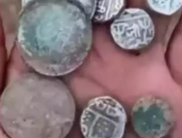 Sheopur News : कूनो नेशनल पार्क में खुदाई के दौरान मजदूरों को मिला सिक्कों से भरा घड़ा 1 Sheopur News