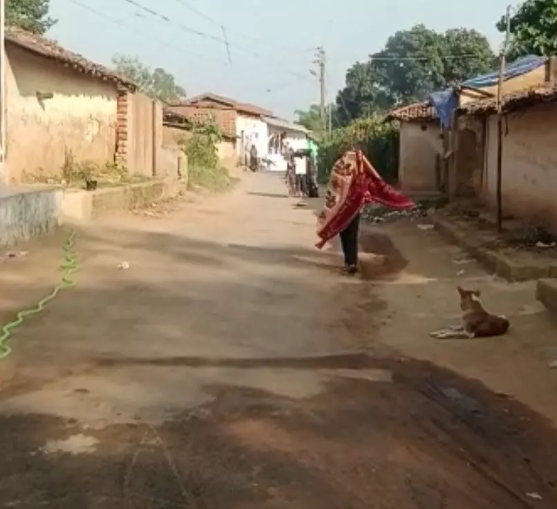 Korba News : मधुमक्खियों का आतंक, सड़कों में छाई रहती है खामोशी, कई रहवाशी जख्मी 1 Korba News