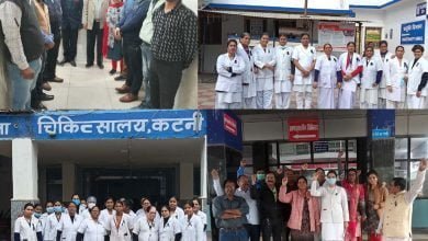 MP News