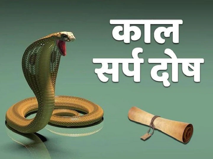 Kaal Sarp Dosh: कालसर्प दोष से छुटकारा पाने, मोरपंख से करें ये उपाय 1 Kaal Sarp Dosh