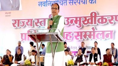 mp news