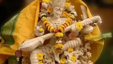 Basant Panchami विद्यार्थी बसंत पंचमी पर अवश्य करें ये 5 काम, बनी रहेगी सरस्वती जी की कृपा