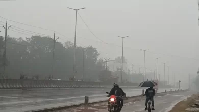 CG Wether News
