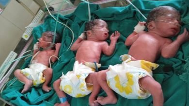 child CG News: एक महिला ने दिया एक साथ तीन बच्चों को जन्म, जच्चा बच्चा सभी स्वस्थ