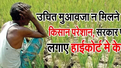 Highcourt case