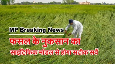 Crop servey