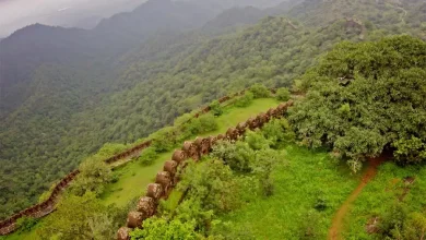 Hariyali