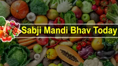 Mandi Rate Today