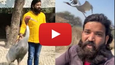 viral video