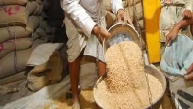 Ann utsav karyakram