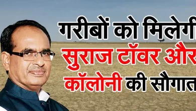 MP news
