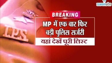 MP IPS Transfer