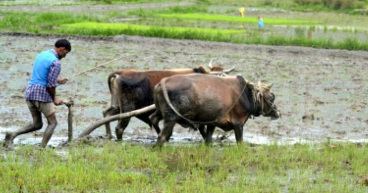 MP News : अब किसान कर पाएंगे तारीख और खरीदी स्थल का चयन 1 kisan MP News : अब किसान कर पाएंगे तारीख और खरीदी स्थल का चयन