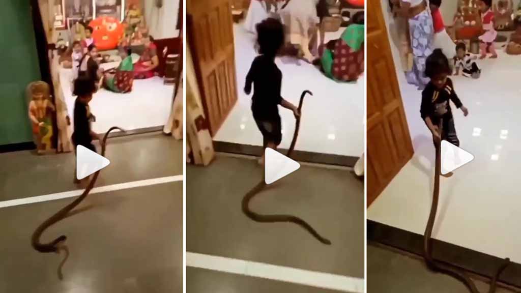 बच्चे ने सांप को ही बना लिया खिलौना, Viral Video देख भड़के यूजर्स 1 viral video