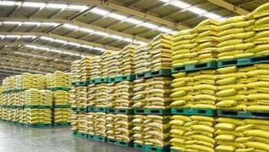 uria MP News: प्रदेश में होगा जून से पहले यूरिया का 80% एडवांस भंडारण