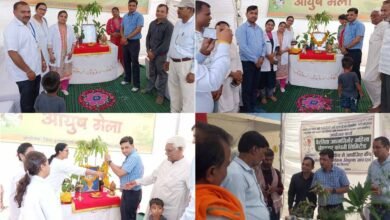 MP News