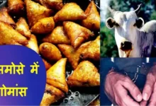 Beef in Samosa