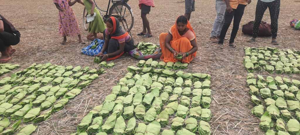 Government Chhattisgarh: वनाश्रितों के आय में लगातार हो रही वृद्धि 1 Government Chhattisgarh