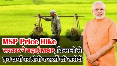 MSP Price Hike