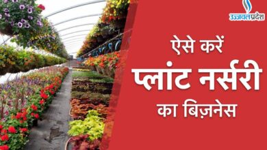Nursery Plant Business Ideas