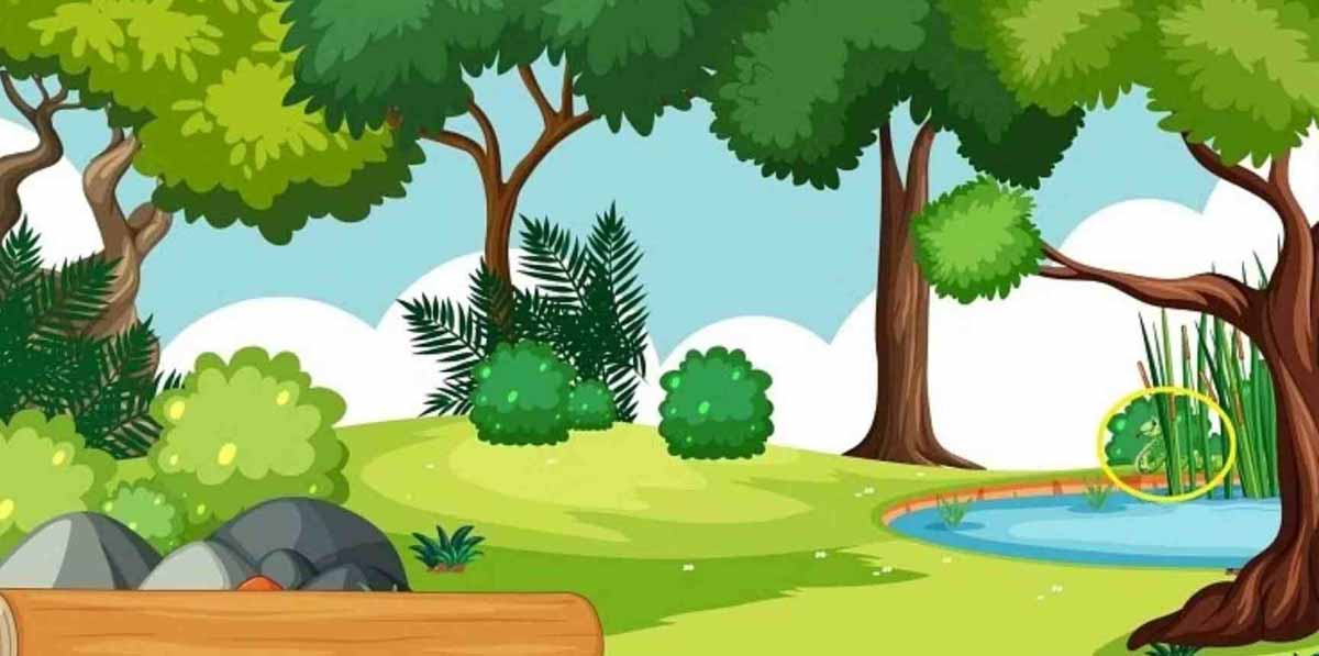 Optical illusion : तस्वीर में छिपा है सांप, क्या आप 5 सेकेंड में ढूंढ सकते हैं? 2 Optical illusion paintings