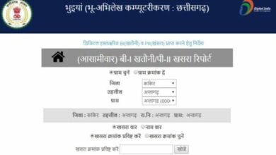 bhuiya portal CG News: भुइयां पोर्टल से अब किसानों को नहीं लगाना पड़ता पटवारी और तहसील ऑफिस के चक्कर