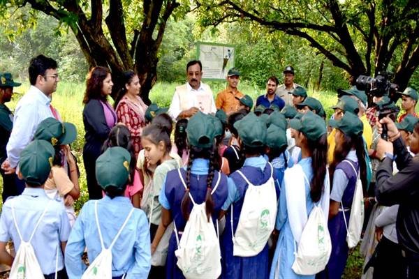 MP News: वन मंत्री डॉ. शाह बोले - पेड़-पौधों से दूसरों के लिए निस्वार्थ भाव से जीना सीखें 1 vijay shah MP News: वन मंत्री डॉ. शाह बोले - पेड़-पौधों से दूसरों के लिए निस्वार्थ भाव से जीना सीखें