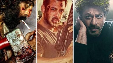 Upcoming Movie In 2023 Upcoming Movie In 2023: टाइगर 3, एनिमल और डंकी ही नहीं 13 और फिल्में है बाकी