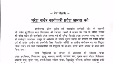 naresh wader CG News: नरेश वाढेर बने कार्यकारी प्रदेश अध्यक्ष