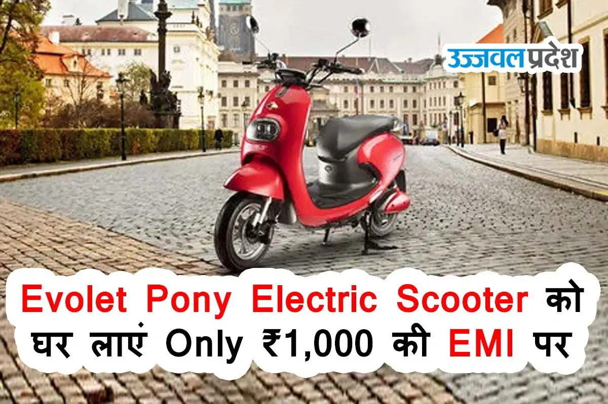 Evolet Pony Electric Scooter को घर लाएं सिर्फ ₹1,000 की EMI पर 1 Evolet Pony Electric Scooter