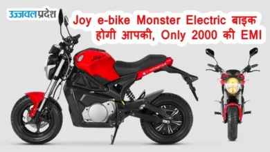Joy e-bike Monster Electric
