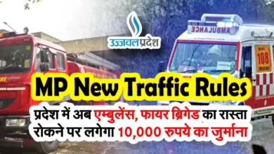 MP New Traffic Rules