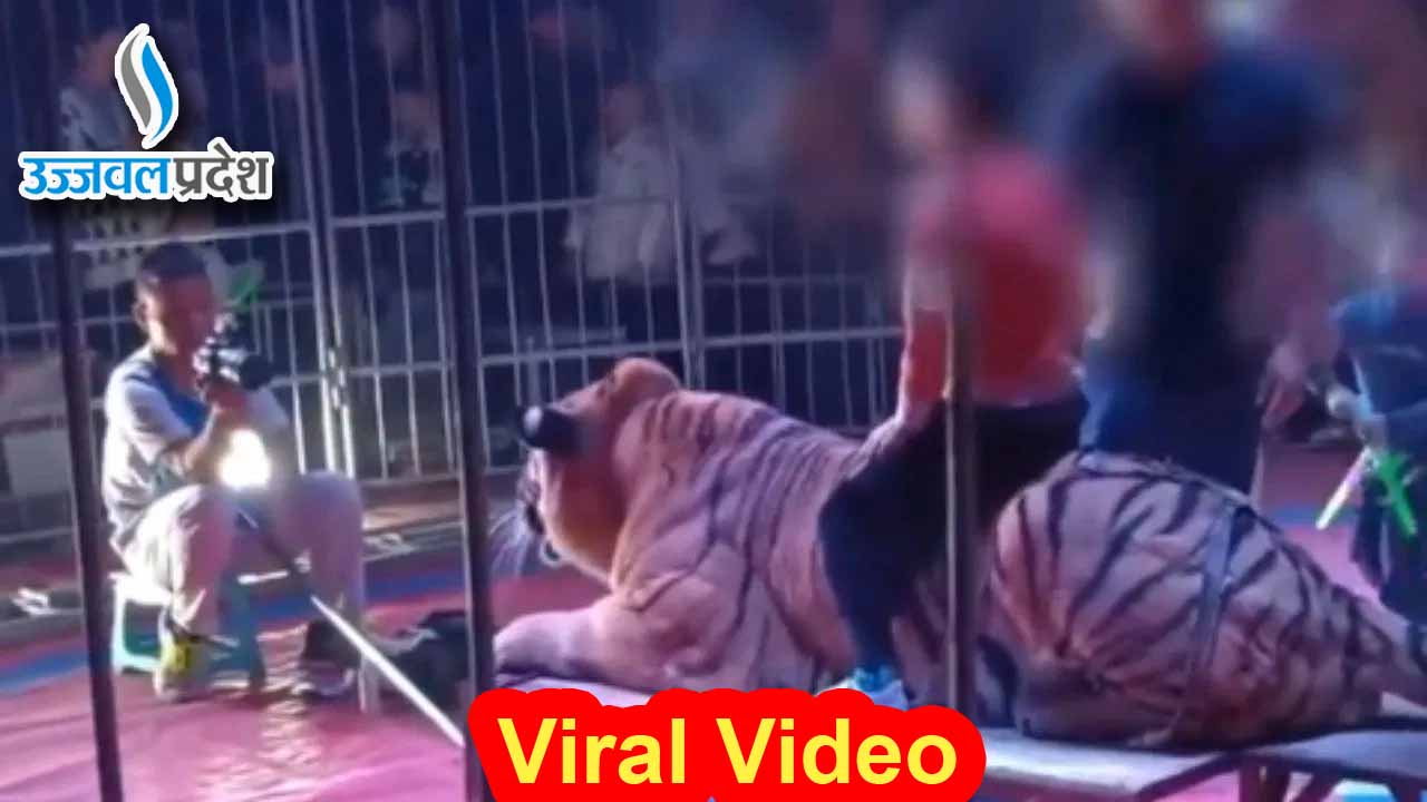 235 रुपये के लिए बच्चों की जान से खिलवाड़, Viral Video देख भड़के लोग 1 Viral Video