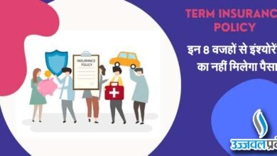 Tern Insurance