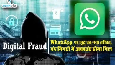 Digital Fraud