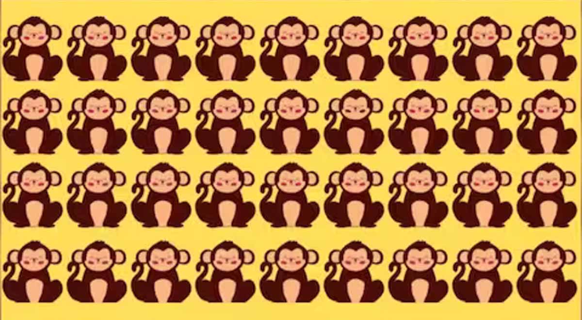 Optical Illusion Challenge: बाज से नजरें वाले ही 8 सेकंड में बता पाएंगे एक अलग सा बंदर 1 Optical Illusion Challenge