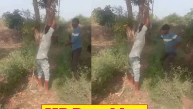 MP Breaking