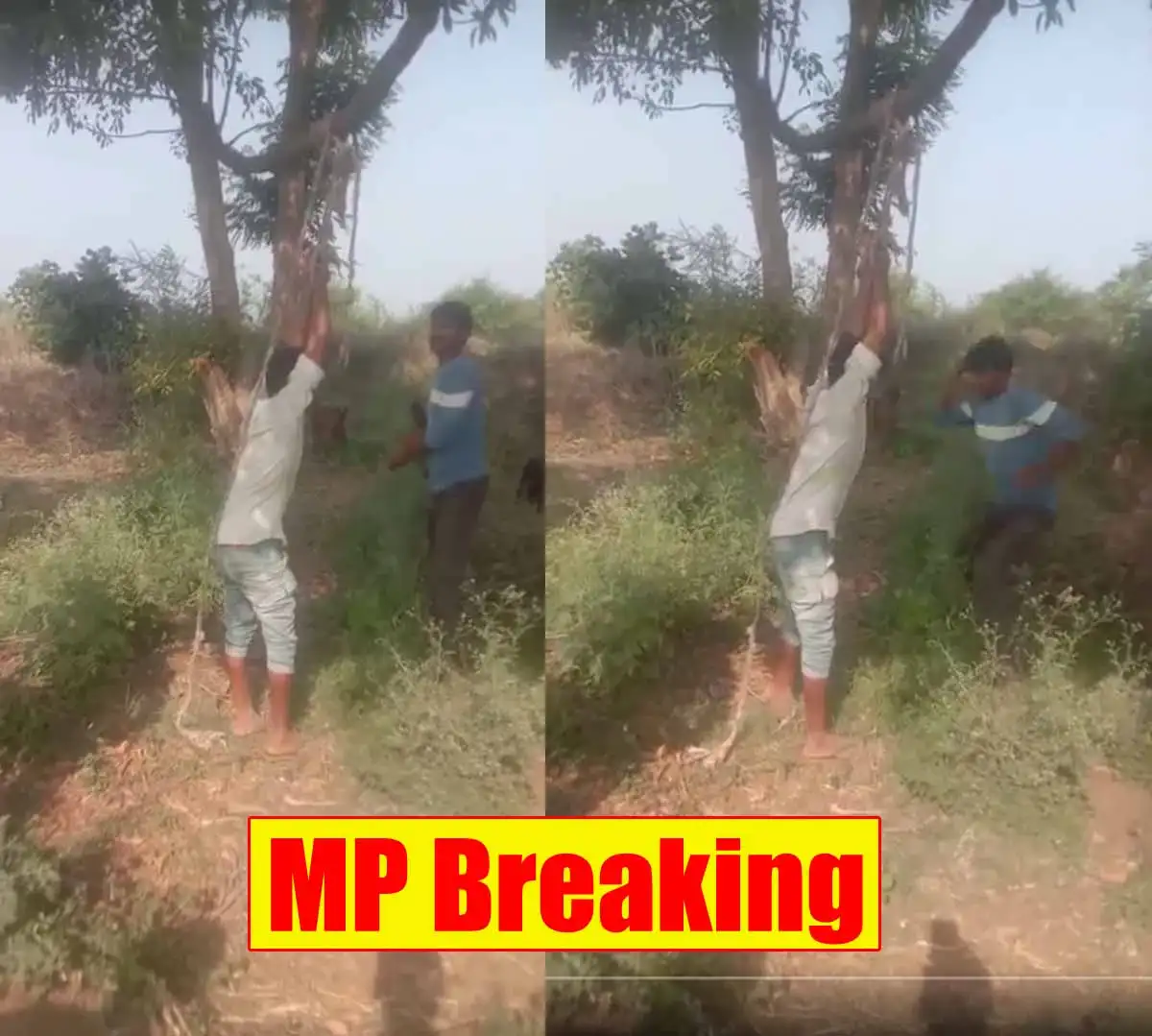 MP Breaking: युवक को चोरी के आरोप में रस्सी से बांधकर पीटा, देखें वायरल वीडियो 1 MP Breaking