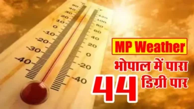 MP Weather News