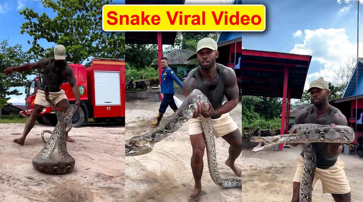 Snake Viral Video: सांप बार बार कर रहा था अटैक, सबक सिखाने के लिए किया शख्स ने यह 1 Snake Viral Video